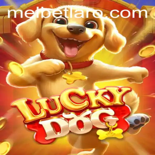 Discovering the Excitement of LuckyDog and Mel Bet